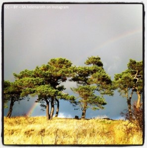 en skatt vid regnbågens slut