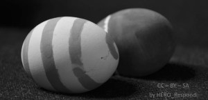 Hönan eller ägget?