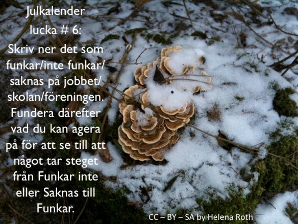 Julkalender6