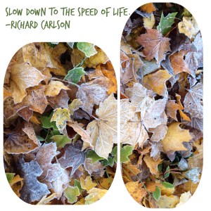 Slow down to the speed of life