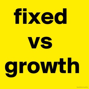 BoldomaticPost_fixed-vs-growth