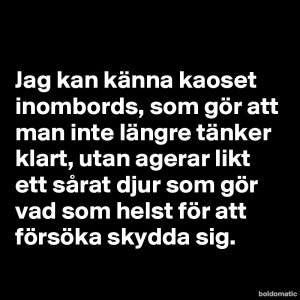 BoldomaticPost_Jag-kan-kanna-kaoset-inombord