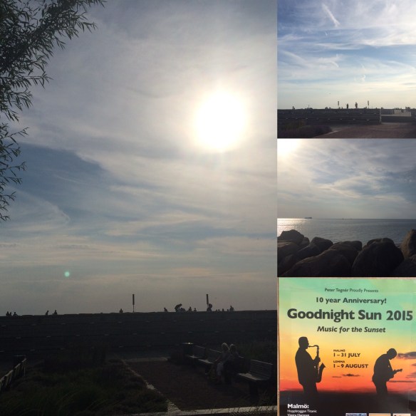 Förberedelser inför Goodnight Sun av och med Peter Tegnér, skicklig musiker och gitarrist. Definitivt ett måste!